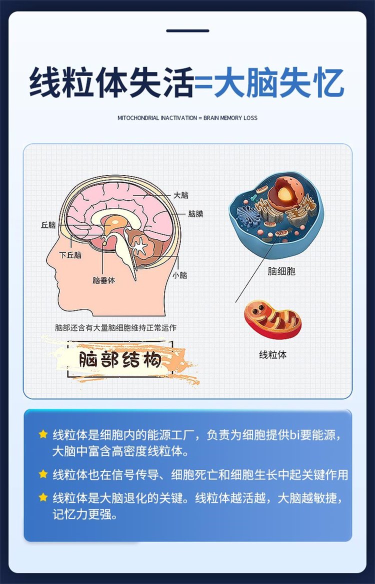 美國原裝進口TTU磷脂酰絲氨酸元寶楓籽油複合片08.jpg