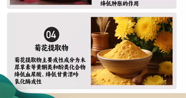Dykam迪卡姆原裝進口 鵝肌肽菊花西芹籽09.png