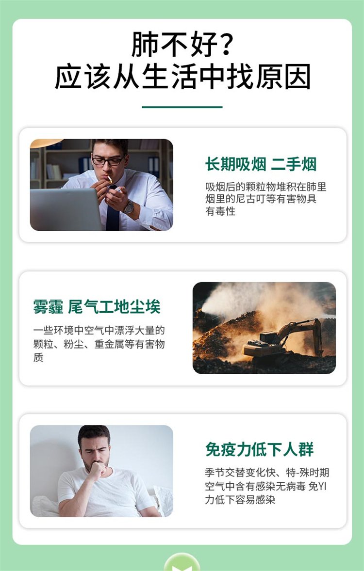 美國進口TTU槲皮素高含量紫蘇籽槐米呵護肺部10.jpg