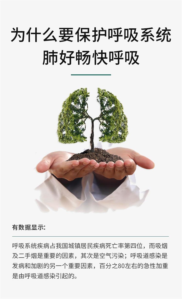 美國進口TTU槲皮素高含量紫蘇籽槐米呵護肺部02.jpg