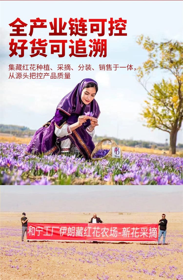 藏紅花紅花西紅花06.jpg